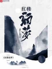 红楼窃梦在线阅读