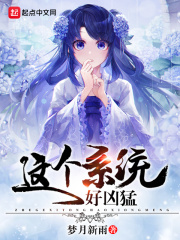 这个系统好凶猛在线阅读