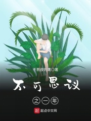 不可思议之一年在线阅读