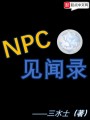 NPC见闻录在线阅读
