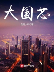大国芯在线阅读