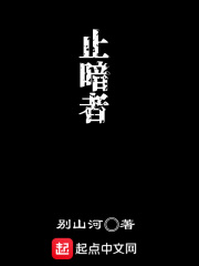止暗者在线阅读