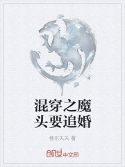 混穿之魔头要追婚