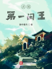 贞观第一闲王在线阅读