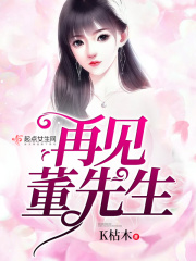再见董先生在线阅读