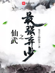仙武强少