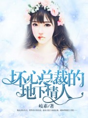坏心总裁的地下情人