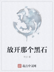 放开那个黑石在线阅读