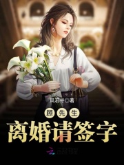 顾先生离婚请签字在线阅读