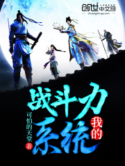 我的战斗力系统