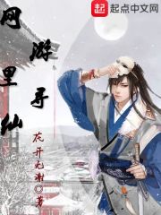 网游里寻仙在线阅读