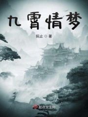 九霄情梦在线阅读