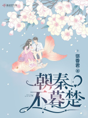 朝秦不暮楚在线阅读