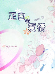 正白的爱情在线阅读