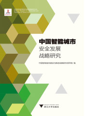 中国智能城市安全发展战略研究