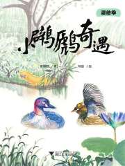 疯狂博物馆·湿地季：小鸊鷉奇遇