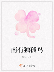 南有独孤鸟在线阅读