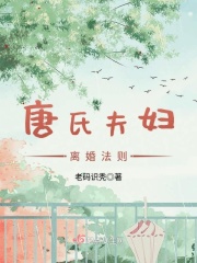 唐氏夫妇离婚法则在线阅读