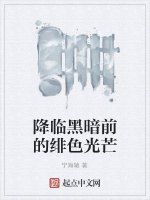 降临黑暗前的绯色光芒在线阅读