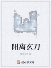 阳离玄刀在线阅读
