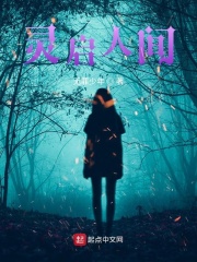 灵启人间在线阅读