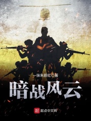 暗战风云在线阅读