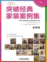 突破经典家装案例集（选材版）背景墙