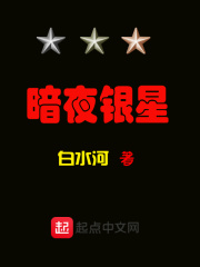暗夜银星在线阅读