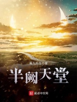 半阙天堂封面