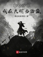 1522年我在大明当海盗封面