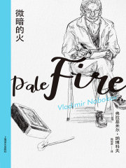 微暗的火