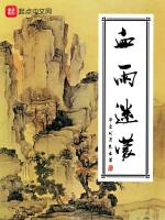 血雨迷蒙封面