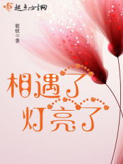 相遇了灯亮了在线阅读