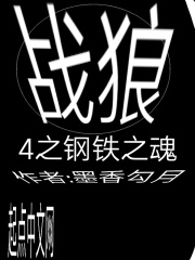 战狼4之钢铁之魂在线阅读