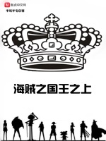 海贼之国王之上在线阅读