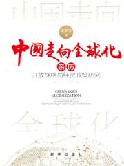 中国走向全球化：亲历开放战略与经贸政策研究