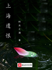 上海遗恨在线阅读