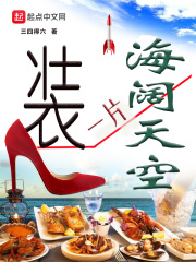 装一片海阔天空在线阅读