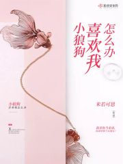 小狼狗喜欢我怎么办在线阅读