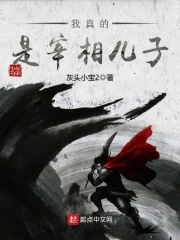 我真的是宰相儿子在线阅读