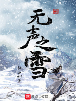 无声之雪在线阅读