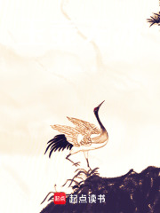 玉壶无冰在线阅读