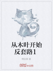 从木叶开始反套路1