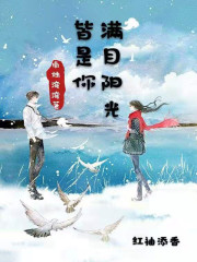 满目阳光皆是你在线阅读