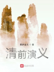 清前史事三百年通俗演义