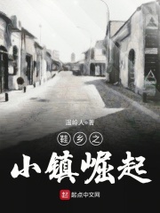 鞋乡之小镇崛起在线阅读