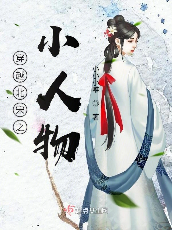 穿越北宋之小人物