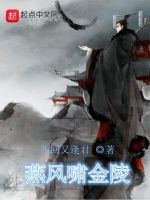 燕风啸金陵封面