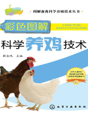 彩色图解科学养鸡技术