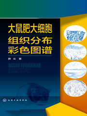大鼠肥大细胞组织分布彩色图谱